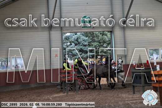 Mintakép 20260208-1503