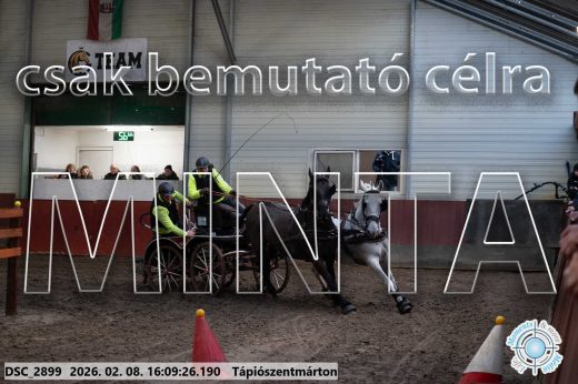 Mintakép 20260208-1507