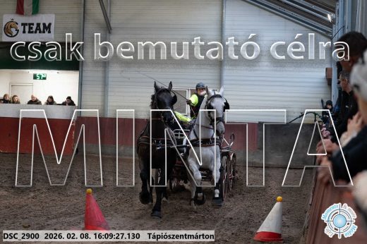 Mintakép 20260208-1508