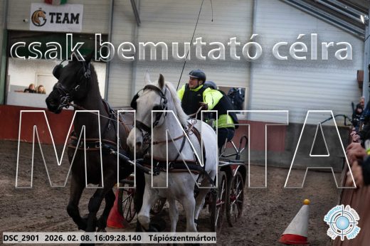 Mintakép 20260208-1509