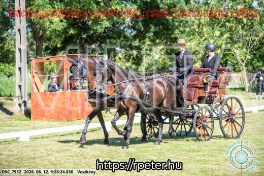 Mintakép 20260612-308