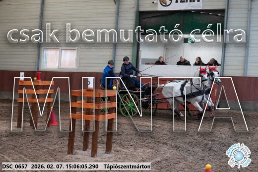 Mintakép 20260207-886