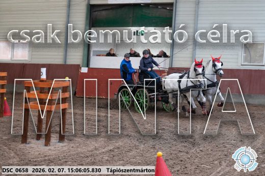 Mintakép 20260207-887