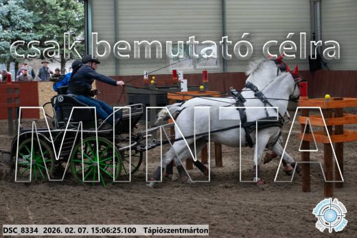 Mintakép 20260207-893