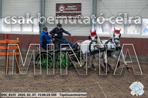 Mintakép 20260207-894