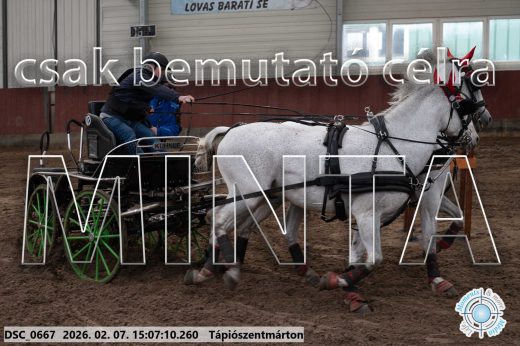 Mintakép 20260207-901