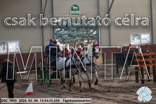 Mintakép 20260208-1519