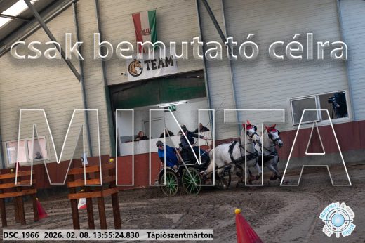 Mintakép 20260208-1525