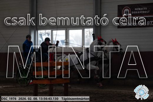 Mintakép 20260208-1534