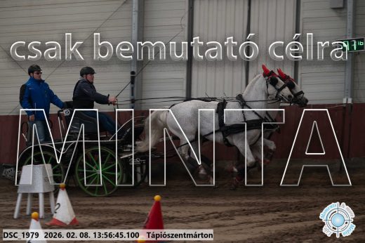 Mintakép 20260208-1537
