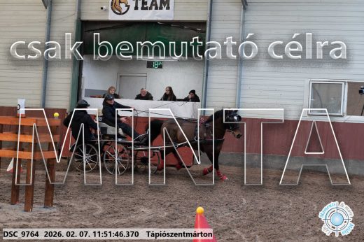 Mintakép 20260207-915