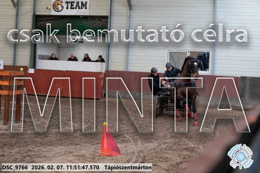 Mintakép 20260207-917