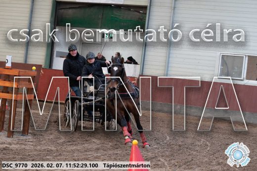 Mintakép 20260207-919