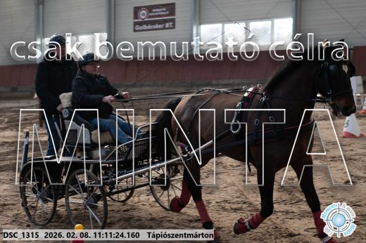 Mintakép 20260208-1538