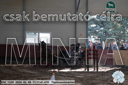 Mintakép 20260208-1542