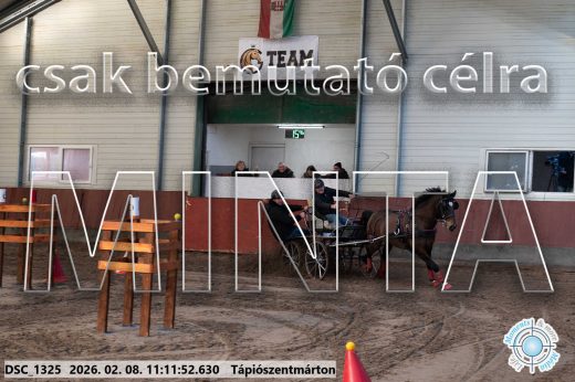 Mintakép 20260208-1546