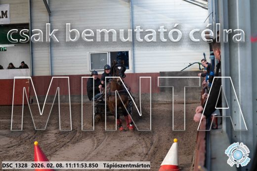 Mintakép 20260208-1549
