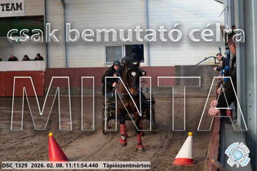 Mintakép 20260208-1550