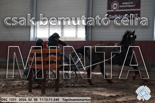 Mintakép 20260208-1552