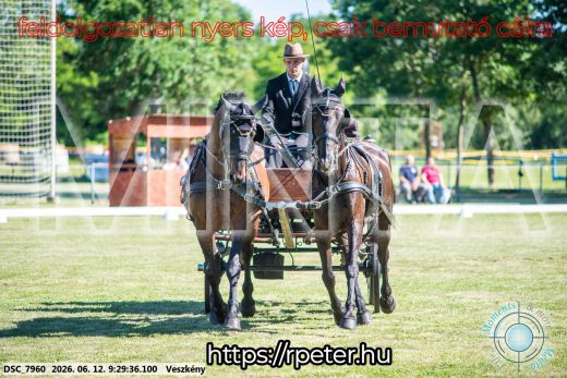 Mintakép 20260612-316