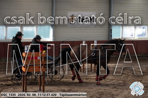 Mintakép 20260208-1556