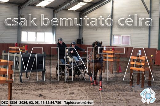 Mintakép 20260208-1557