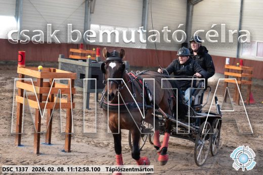 Mintakép 20260208-1558
