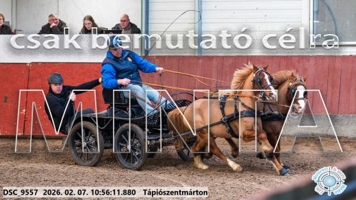 Mintakép 20260207-932