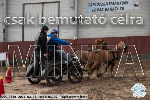 Mintakép 20260207-934
