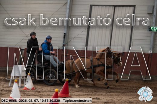Mintakép 20260207-939