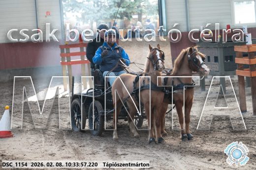 Mintakép 20260208-1560