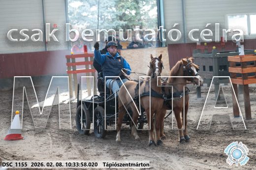 Mintakép 20260208-1561