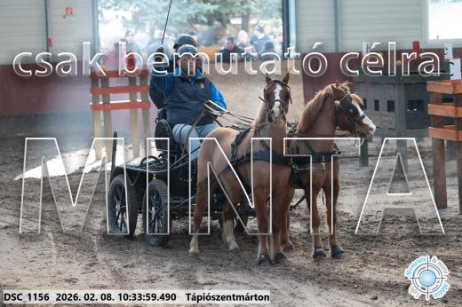 Mintakép 20260208-1562