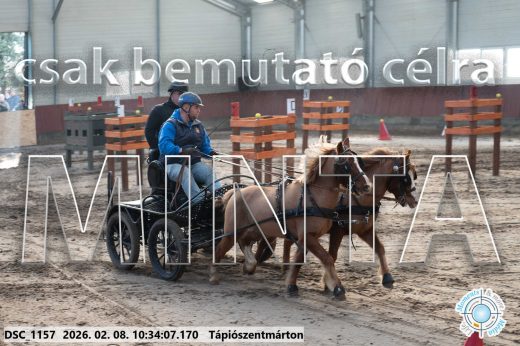 Mintakép 20260208-1563