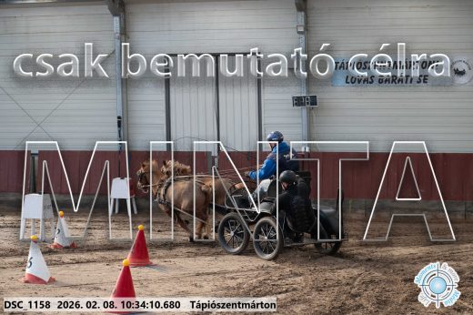 Mintakép 20260208-1564