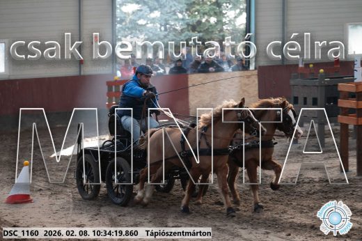 Mintakép 20260208-1566