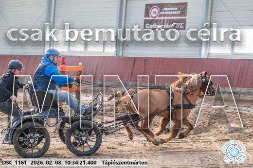Mintakép 20260208-1567