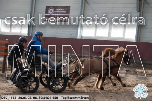 Mintakép 20260208-1568