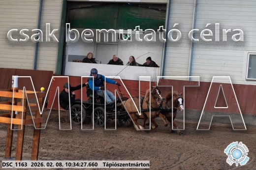 Mintakép 20260208-1569