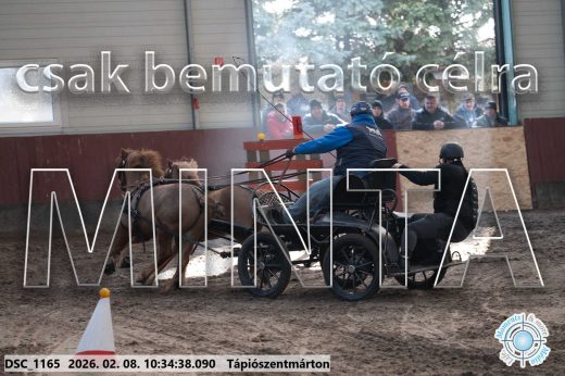 Mintakép 20260208-1571