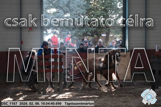 Mintakép 20260208-1573