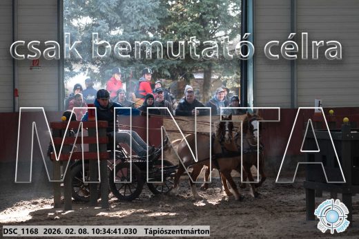 Mintakép 20260208-1574