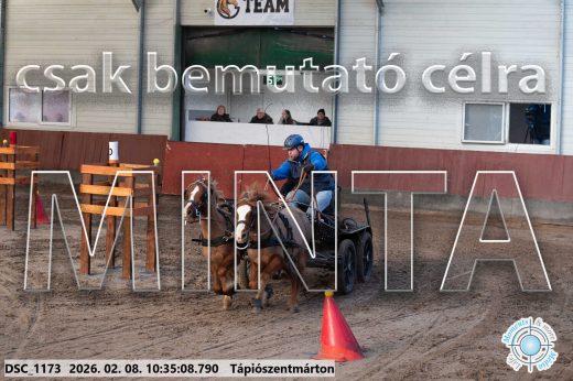 Mintakép 20260208-1578