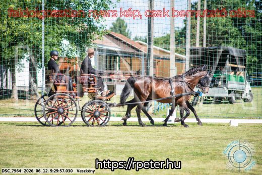 Mintakép 20260612-320