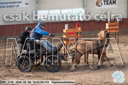 Mintakép 20260208-1581