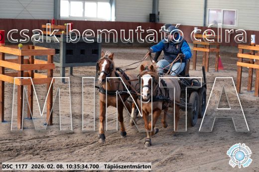 Mintakép 20260208-1582