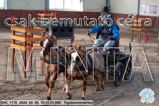 Mintakép 20260208-1583
