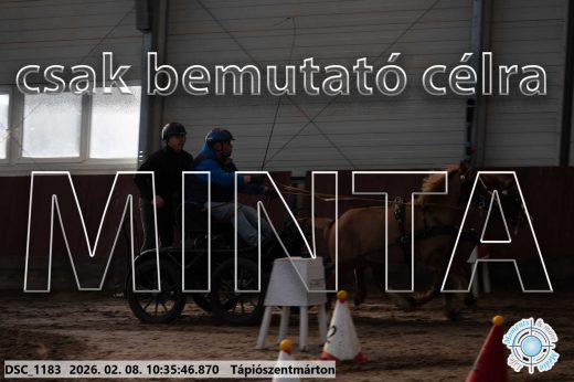 Mintakép 20260208-1585