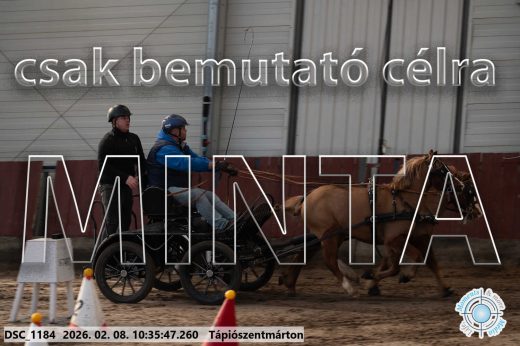 Mintakép 20260208-1586
