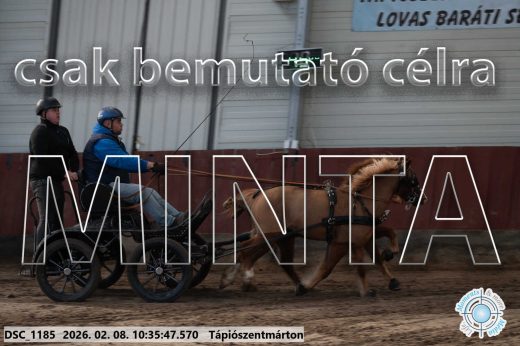 Mintakép 20260208-1587